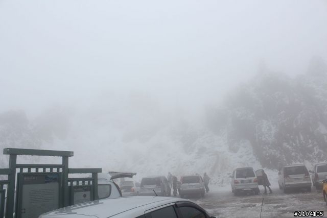 2012-02-04 武嶺合歡山盛況(171P)