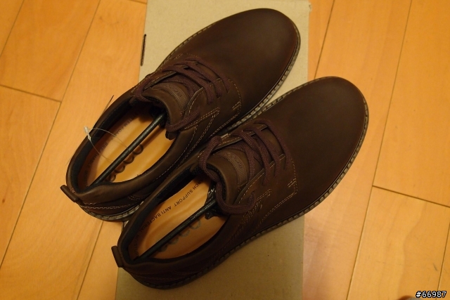 ECCO Turn GTX 有點LAG的開箱