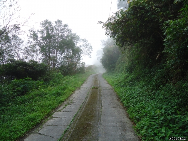 2012-2-26大漢林道浸水營古道之旅