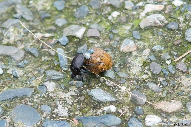 老馬逛街去 之 漫遊九份