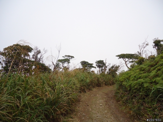 2012-2-26大漢林道浸水營古道之旅