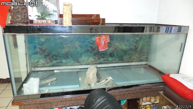 【請教】這種魚缸有人會想要嗎?--2/8更新