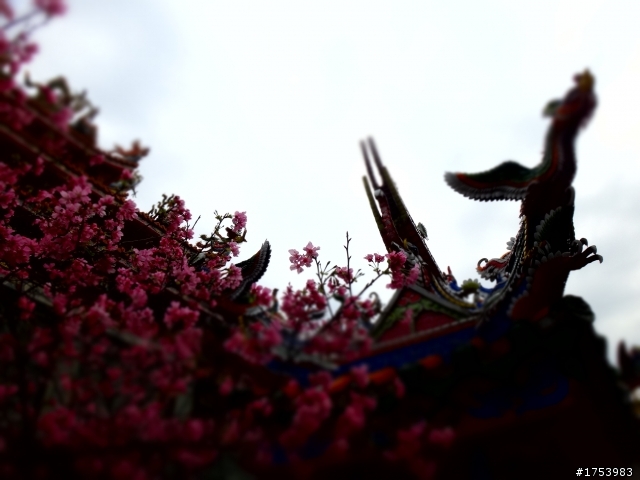 關渡&漁碼大玩效果XD