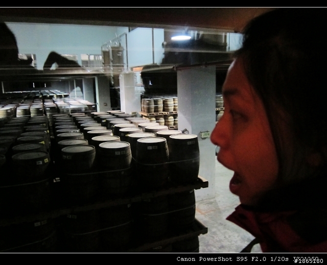「分享」2/18、19北橫小小櫻花之旅-兩天一夜(圖 多 慎 入)修改完畢>