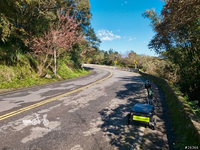 【一個人的旅行】單車賞春櫻【平溪、雙溪、不厭亭、金瓜石、九份、侯硐】