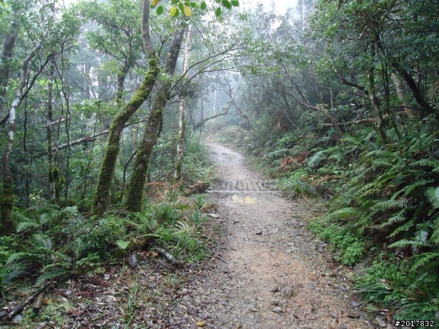 2012-2-26大漢林道浸水營古道之旅