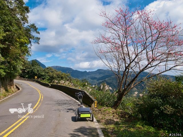 【一個人的旅行】單車賞春櫻【平溪、雙溪、不厭亭、金瓜石、九份、侯硐】
