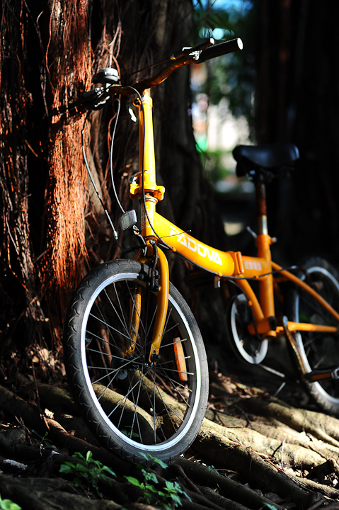 輕巧畫質兼顧 Nikon AF-S Nikkor 85mm f/1.8G