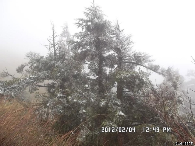 【遊記】人生第一次雪見武嶺