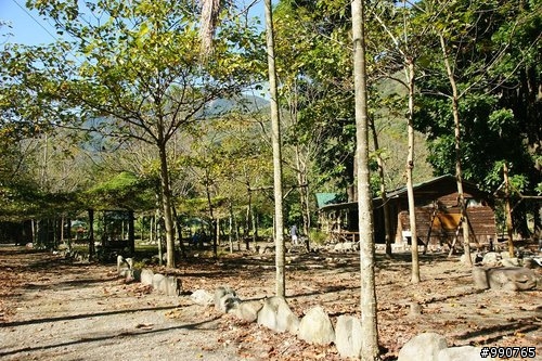 (RV露營地)(南投縣信義鄉)天時農莊