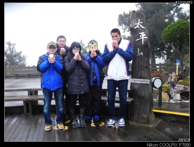 【0211-0212 綿羊團】殘念太平山 + 武陵農場之櫻花爆炸了