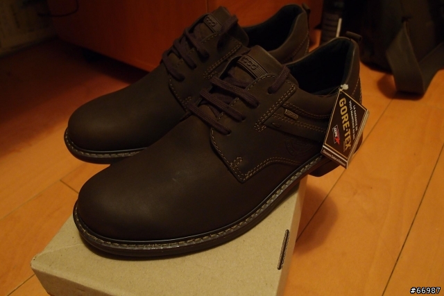 ECCO Turn GTX 有點LAG的開箱