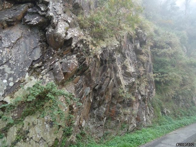 2012-2-26大漢林道浸水營古道之旅