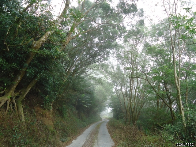 2012-2-26大漢林道浸水營古道之旅