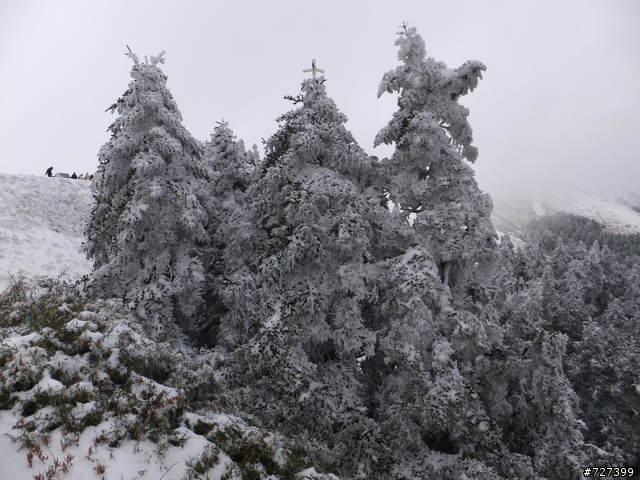 Hello合歡山!!雪季來看您~~(勁戰掛雪鏈攻頂成功!!附影片)