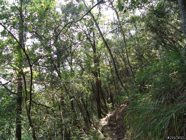 2012-3-18谷關七雄--屋我尾山