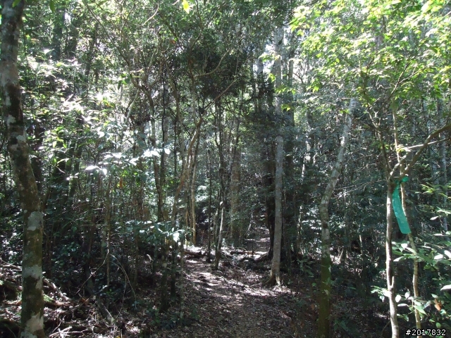 2012-3-18谷關七雄--屋我尾山
