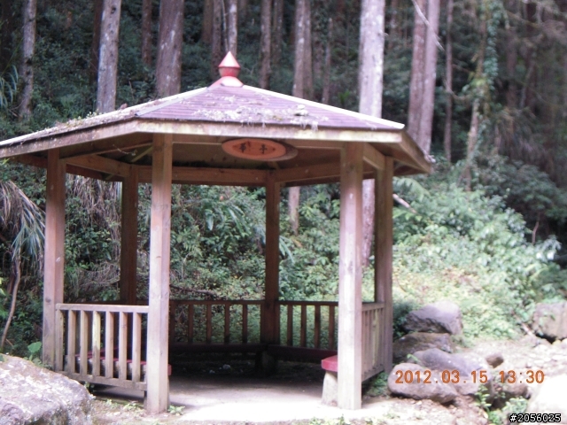一個老阿伯的旅遊分享記(三)/杉林溪一日遊(2012/03/15)