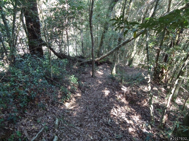 2012-3-18谷關七雄--屋我尾山