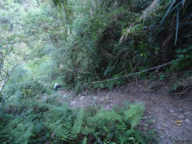 2012-3-18谷關七雄--屋我尾山
