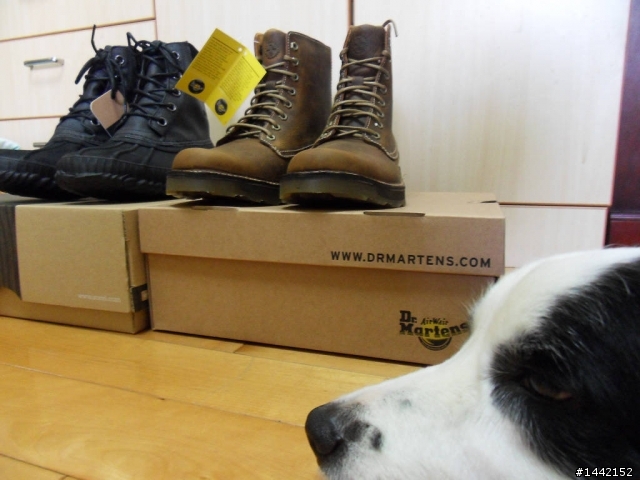 Sorel & Dr. Martens 二雙靴開箱文