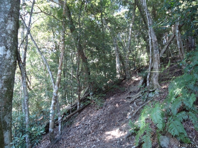 2012-3-18谷關七雄--屋我尾山