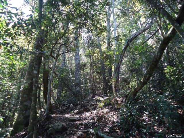 2012-3-18谷關七雄--屋我尾山