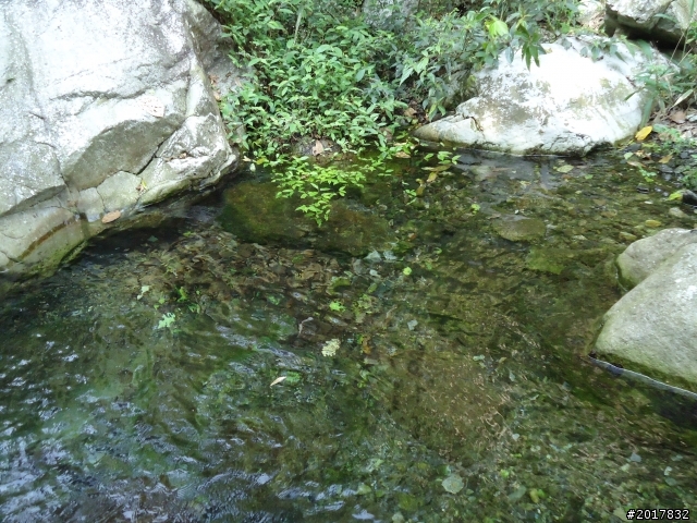 2012-3-18谷關七雄--屋我尾山