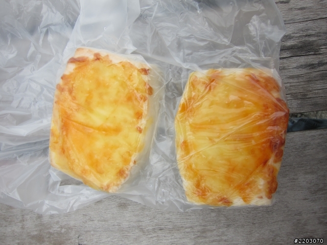 2012.02/04-02/14 -- 【衝阿~熱血吧!素食客】- 十一天環島之旅- five day