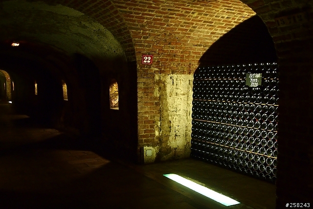【西西分享】法國DAY5-香檳酒廠 (Moët & Chandon)、Outlet (La Vallée Village)