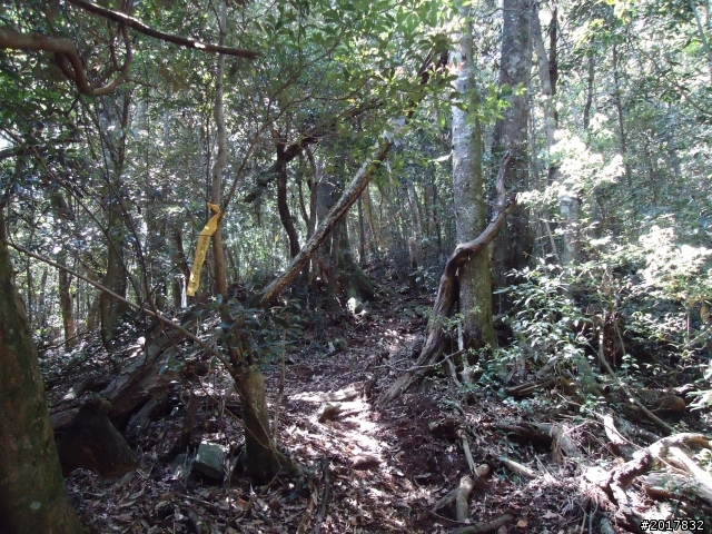 2012-3-18谷關七雄--屋我尾山