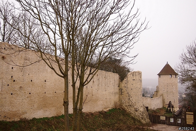 【西西分享】法國DAY4-普羅萬Provins、漢斯Reims