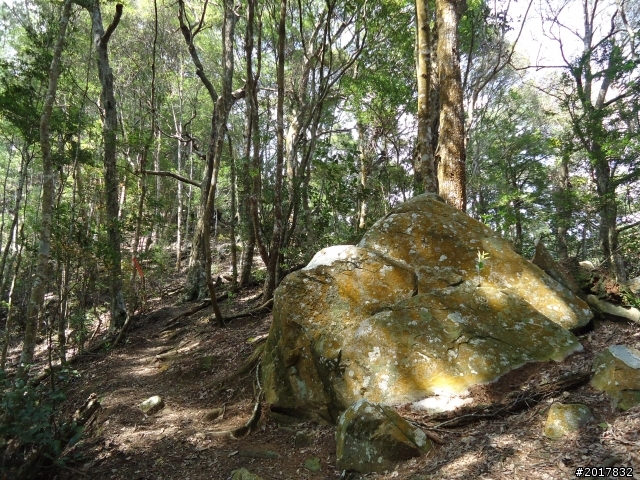 2012-3-18谷關七雄--屋我尾山