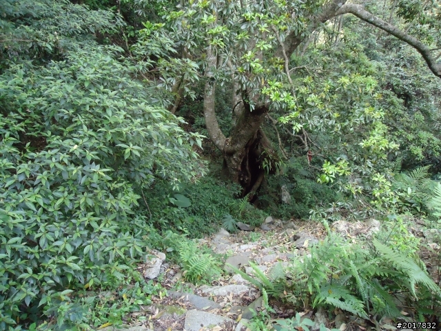 2012-3-18谷關七雄--屋我尾山
