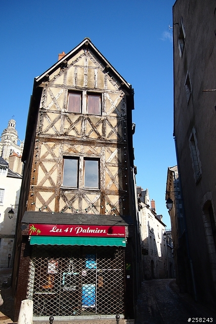 【西西分享】法國DAY3-香波堡Chambord、布洛瓦Blois、雪儂梭堡Chenonceaux