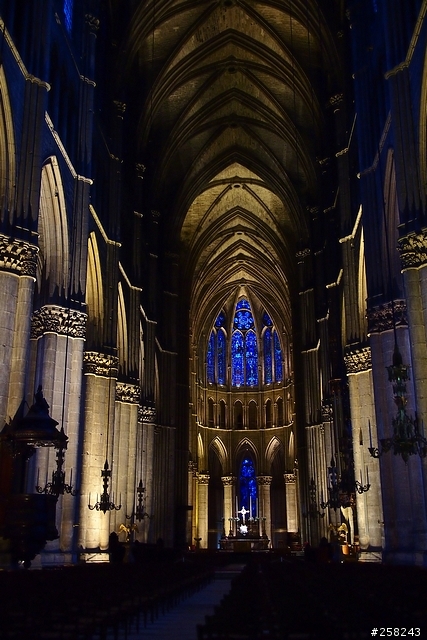 【西西分享】法國DAY4-普羅萬Provins、漢斯Reims