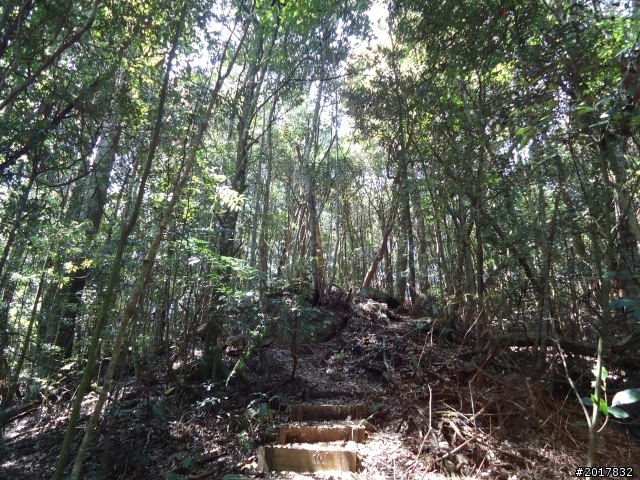 2012-3-18谷關七雄--屋我尾山