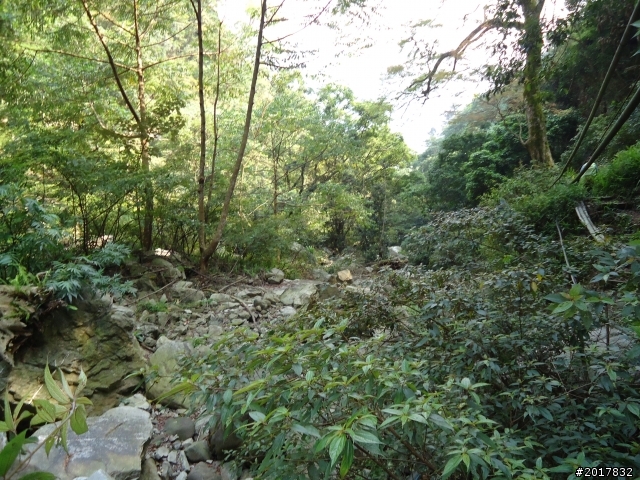 2012-3-18谷關七雄--屋我尾山
