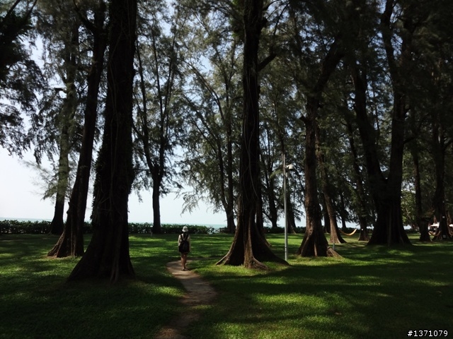 2012 March 馬來西亞 檳城 自助行 Malaysia Penang