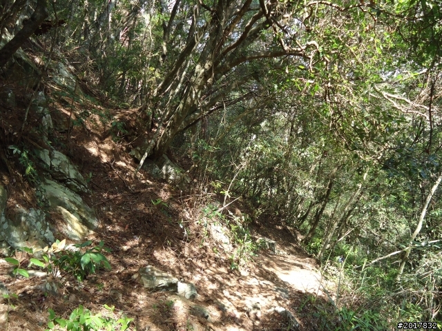 2012-3-18谷關七雄--屋我尾山