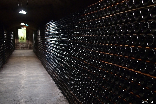 【西西分享】法國DAY5-香檳酒廠 (Moët & Chandon)、Outlet (La Vallée Village)
