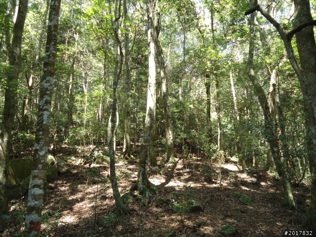 2012-3-18谷關七雄--屋我尾山