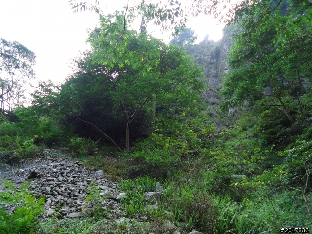 2012-3-18谷關七雄--屋我尾山