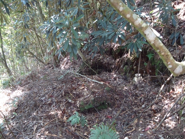 2012-3-18谷關七雄--屋我尾山