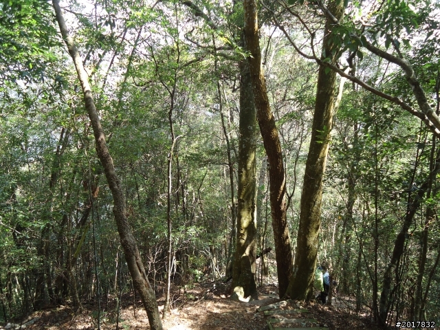 2012-3-18谷關七雄--屋我尾山