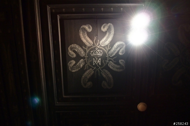 【西西分享】法國DAY3-香波堡Chambord、布洛瓦Blois、雪儂梭堡Chenonceaux