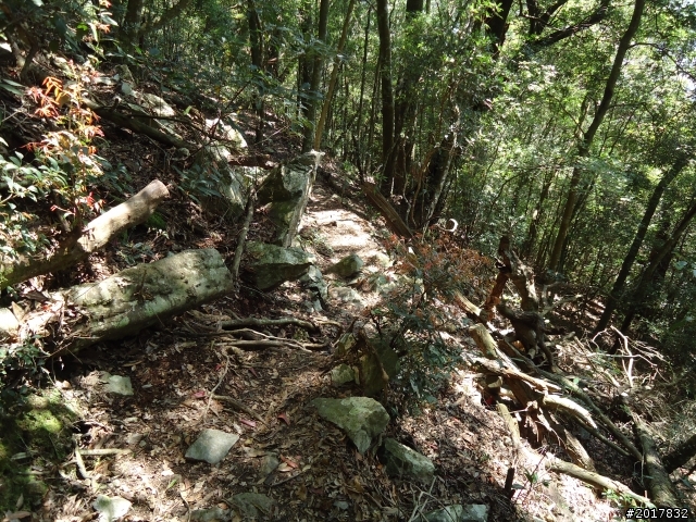 2012-3-18谷關七雄--屋我尾山