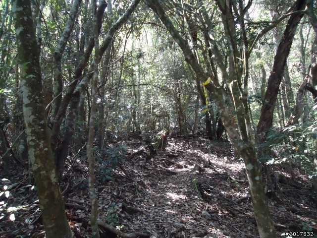 2012-3-18谷關七雄--屋我尾山