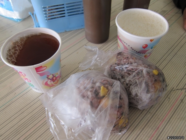 2012.02/04-02/14 -- 【衝阿~熱血吧!素食客】- 十一天環島之旅- seven day