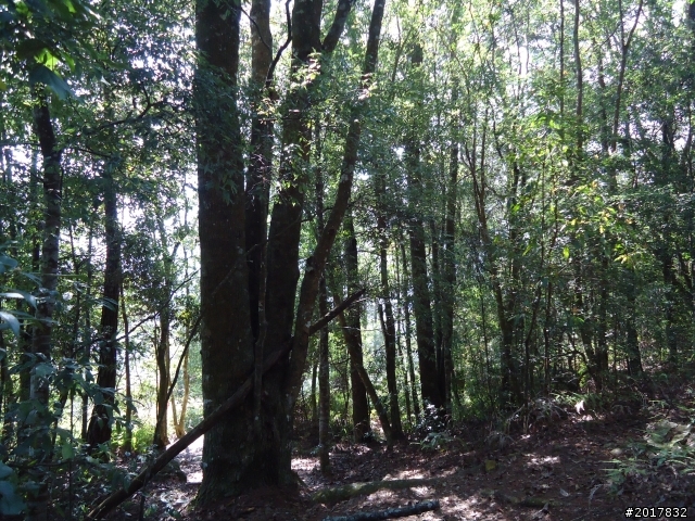 2012-3-18谷關七雄--屋我尾山